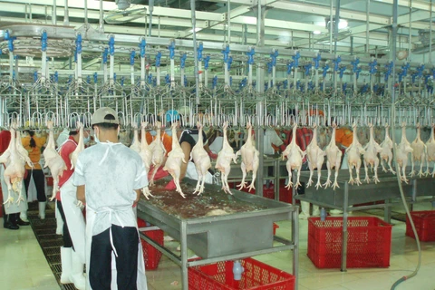Animal husbandry sector urged to access bigger markets