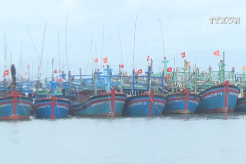 Efforts against illegal fishing