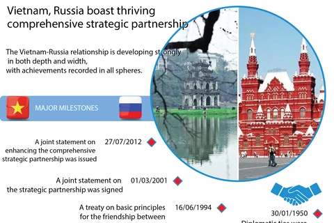 Vietnam, Russia boast thriving comprehensive strategic partnership 