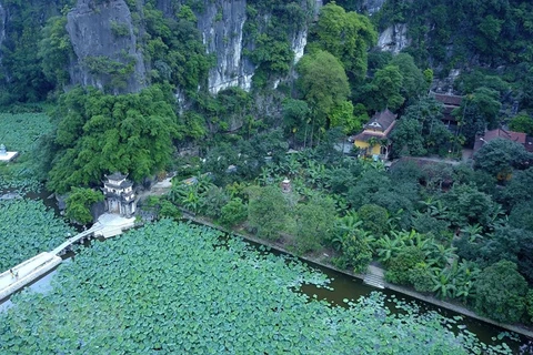 Bich Dong pagoda in lotus season