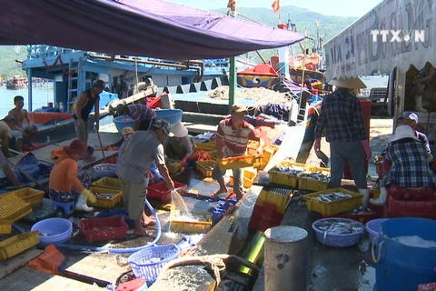 Da Nang city fights illegal fishing