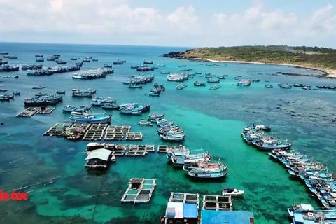 Phu Quy island tourism soars