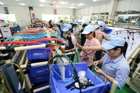 Vietnam’s economic growth has yet to reach strategic goal: expert 