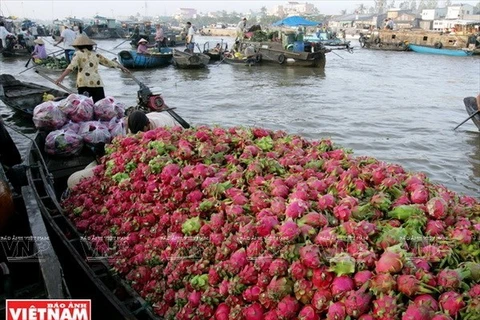 River-borne tourism a typical product in Can Tho city