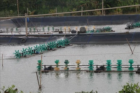 Tien Giang to expand aquatic farming area to over 10,500 ha
