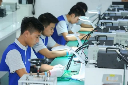 Ca Mau focuses on development of skilled workforce 
