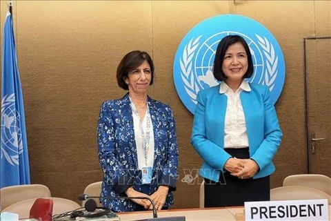 Vietnam elected as vice chair of UNCTAD intergovernmental expert group’s meeting