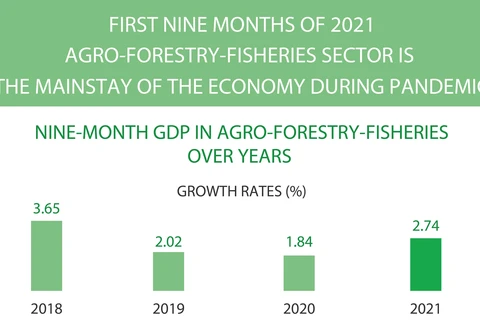 Agro-forestry-fisheries - the mainstay of the economy