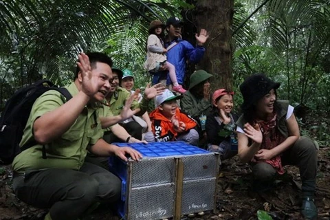 ‘Forest school’ helps spread love for nature