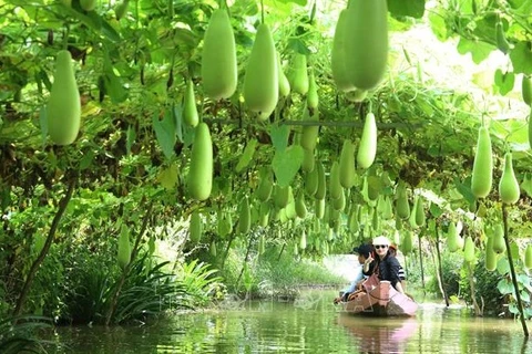 Dong Thap province works to promote development of eco-tourism 