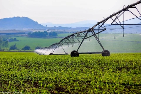 TH True MILK produces hi-tech miracles on land with severe weather