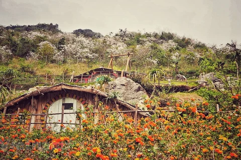 Some of the lovely homestays in the Moc Chau plateau 