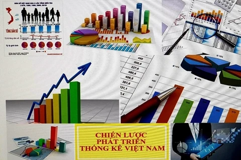 Vietnam Statistical Development Strategy lays out implementation guidelines