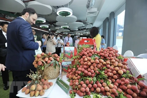 New markets sought to take Vietnam’s lychee global