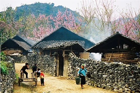 Ha Giang’s magnificent beauty lures travelers