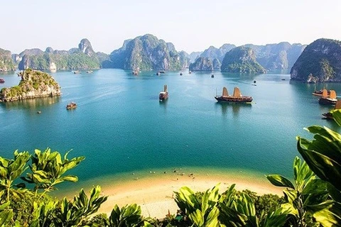 Vietnam among top 10 most popular destinations for Australians ​