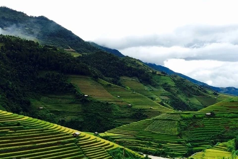 Mu Cang Chai celebrates new rice festival