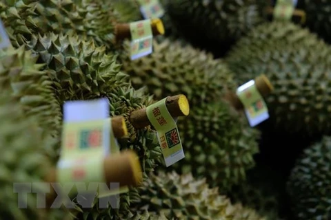 More should be done to boost durian export: Insiders