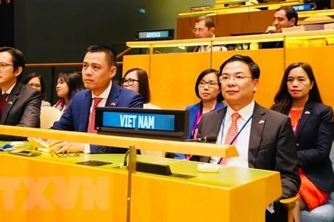 Vietnam elected to UN Human Rights Council