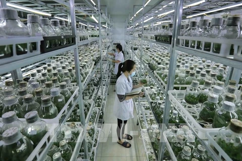 Vietnam moves to boost green agriculture