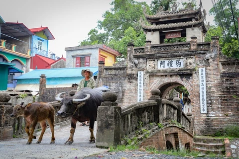 Ancient village on Hanoi’s outskirts preserves its traces in time