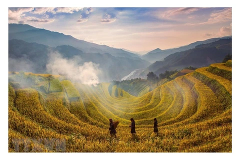 Mu Cang Chai tourism seeing strong recovery ​