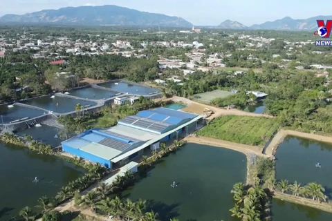 Ba Ria-Vung Tau developing environmentally-friendly rural trades