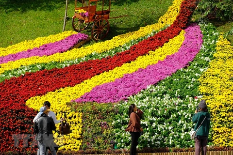 Da Lat Flower Festival kicks off