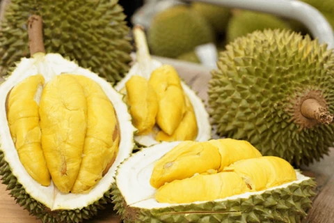 Durian exports to China up sharply