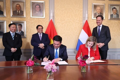 Vietnam-Netherlands share a model relationship of dynamism, effectiveness