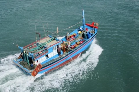 📝 OP-ED: Vietnam resolved to have illegal fishing label lifted