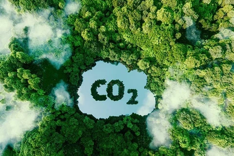 Vietnam pushes for carbon market development
