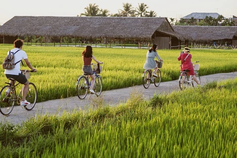 Hanoi district optimises advantages in rural, agricultural tourism