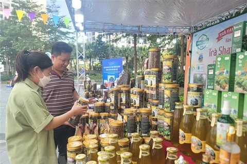 Hanoi seeks to raise efficiency of cooperatives, develop OCOP products
