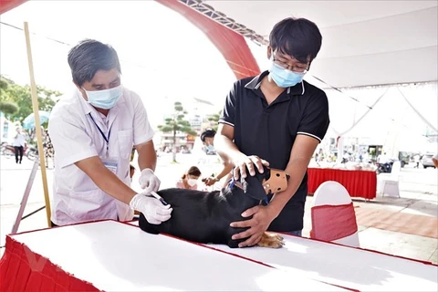 Vietnam striving to end rabies-caused deaths by 2030