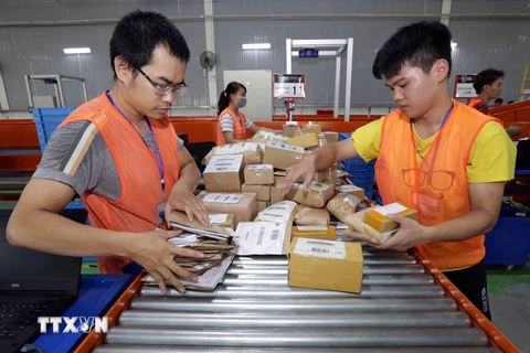 Vietnam expected to become e-commerce powerhouse in Southeast Asia