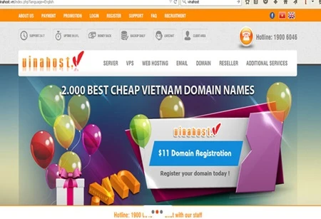 VN tops ASEAN with number of new domains 