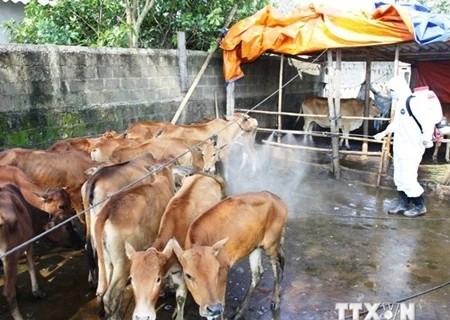 Vietnam proactive in preventing animal disease spread