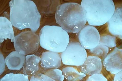 Hailstones wreck havoc in Tuyen Quang province 