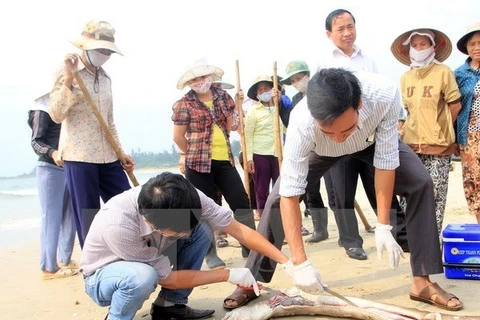 Quang Binh aids farmers over fish deaths