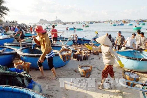 Thua Thien-Hue: near-shore seawater safe for humans
