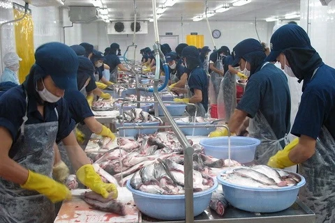 Export seafood quality not affected by mass fish deaths: VASEP