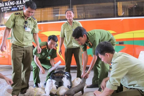 Wild animals rescued from illegal trade 