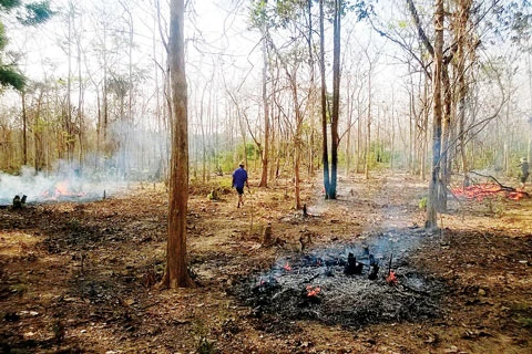 Forest land use debated in Hanoi 