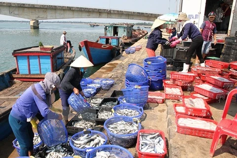 Central fishermen receive support following mass fish deaths 