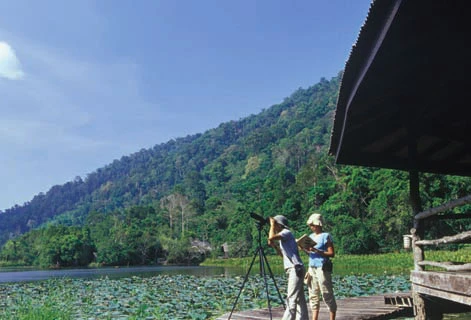 Holidaymakers suggested visiting Thailand's Thale Ban National Park