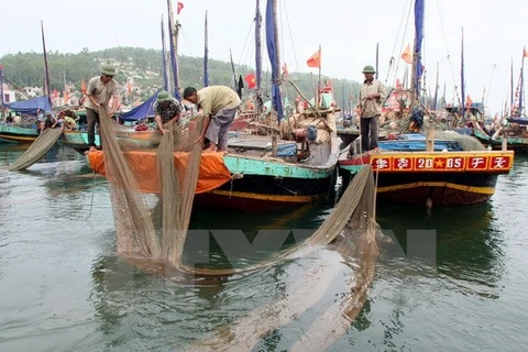 Quang Tri sets up damage assessment council after fish deaths