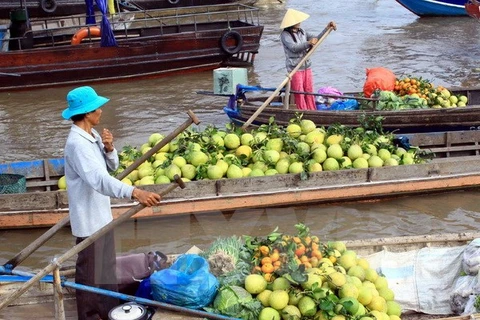 Cai Rang Floating Market Festival opens in Can Tho 