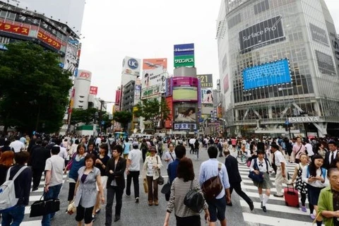 More Vietnamese people spend vacations in Japan 