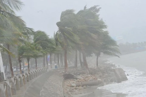 Quang Ninh braces for tropical storm Dianmu 